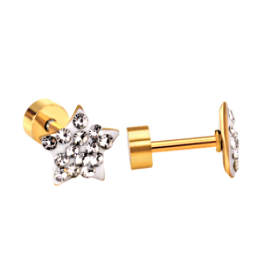 Children's Earrings: Surgical Steel, Gold IP, Clear CZ Star Screw Back Earrings