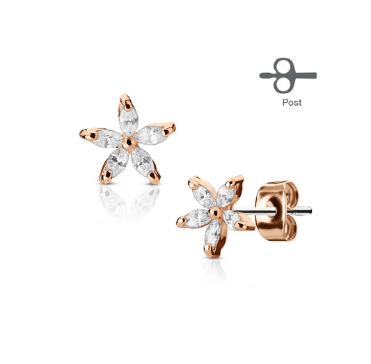 Children's Earrings: Surgical Steel with Gold IP White AAA CZ Flower Earrings