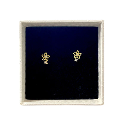 Gold star-shaped earrings in a black display box on a white background