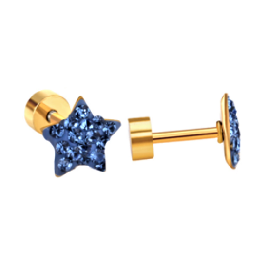 Children's Earrings:  Surgical Steel, Gold IP, Blue CZ Star Screw Back Earrings
