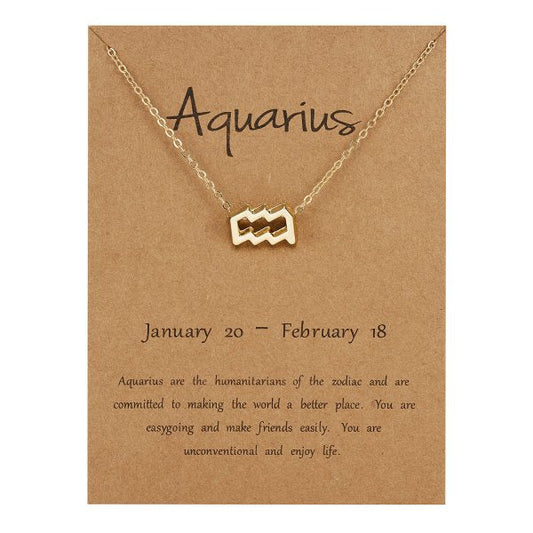 Children's Necklaces:  Steel Birthday Gift Zodiac Necklaces - Aquarius